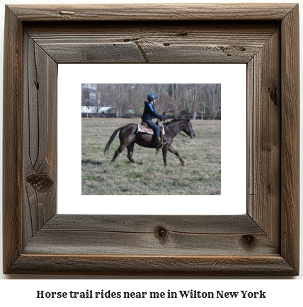 horse trail rides near me in Wilton, New York